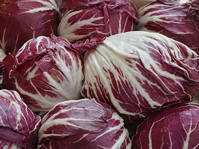 Radicchio